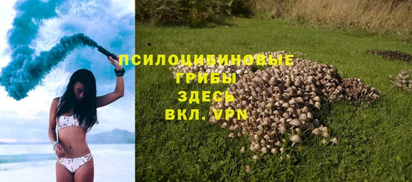 a pvp Аркадак