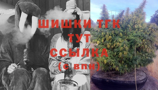 кокс Арсеньев
